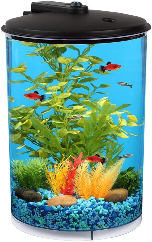 360 Degree Fish Tank