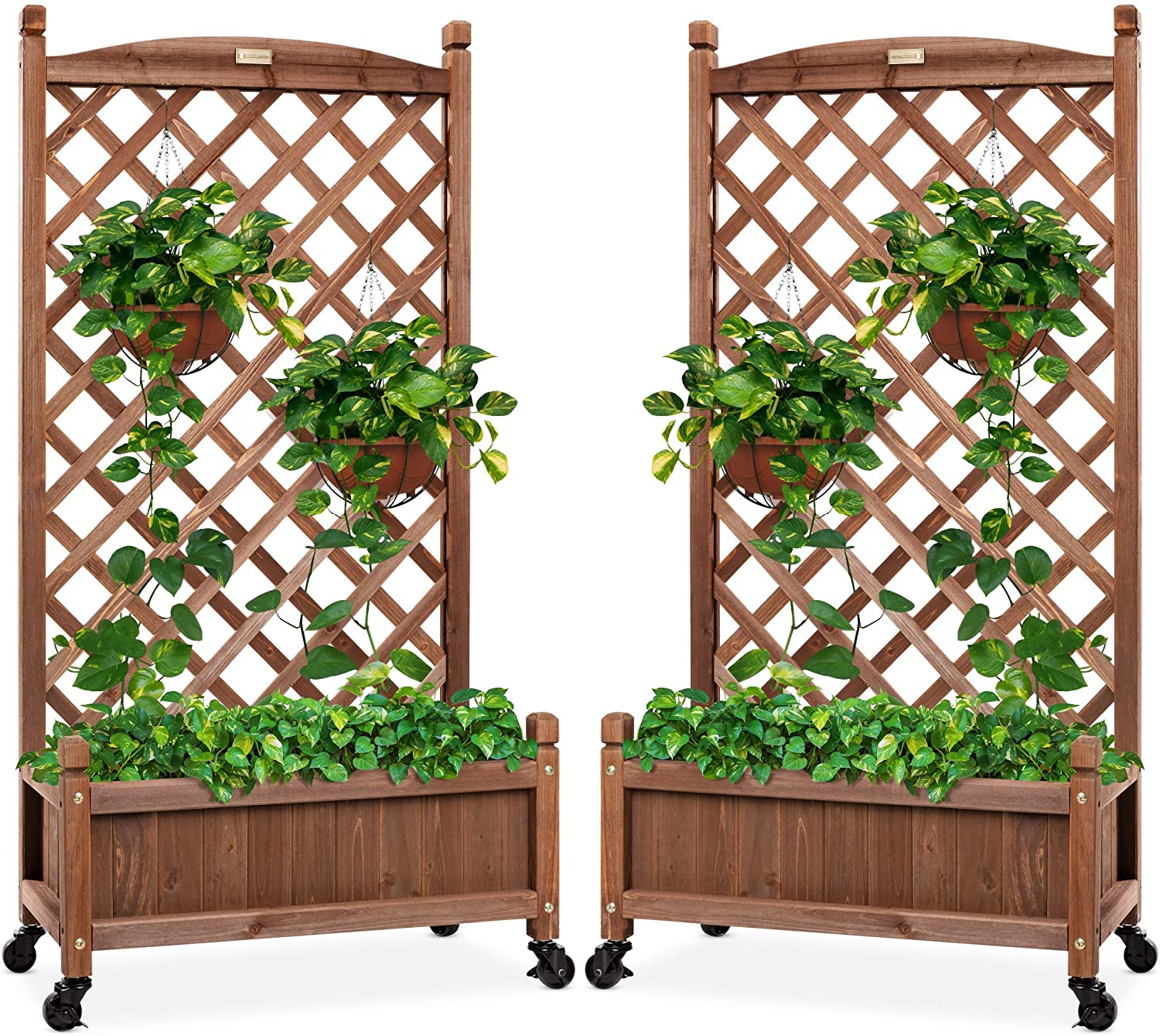 Planter Box with Diamond Lattice